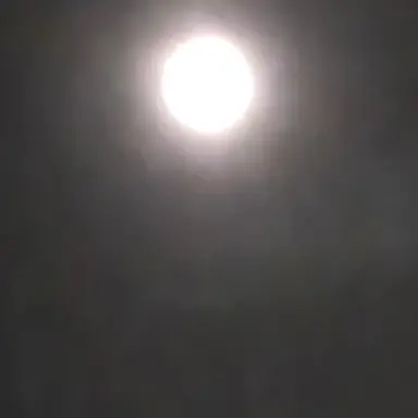 Profile image of 안현민