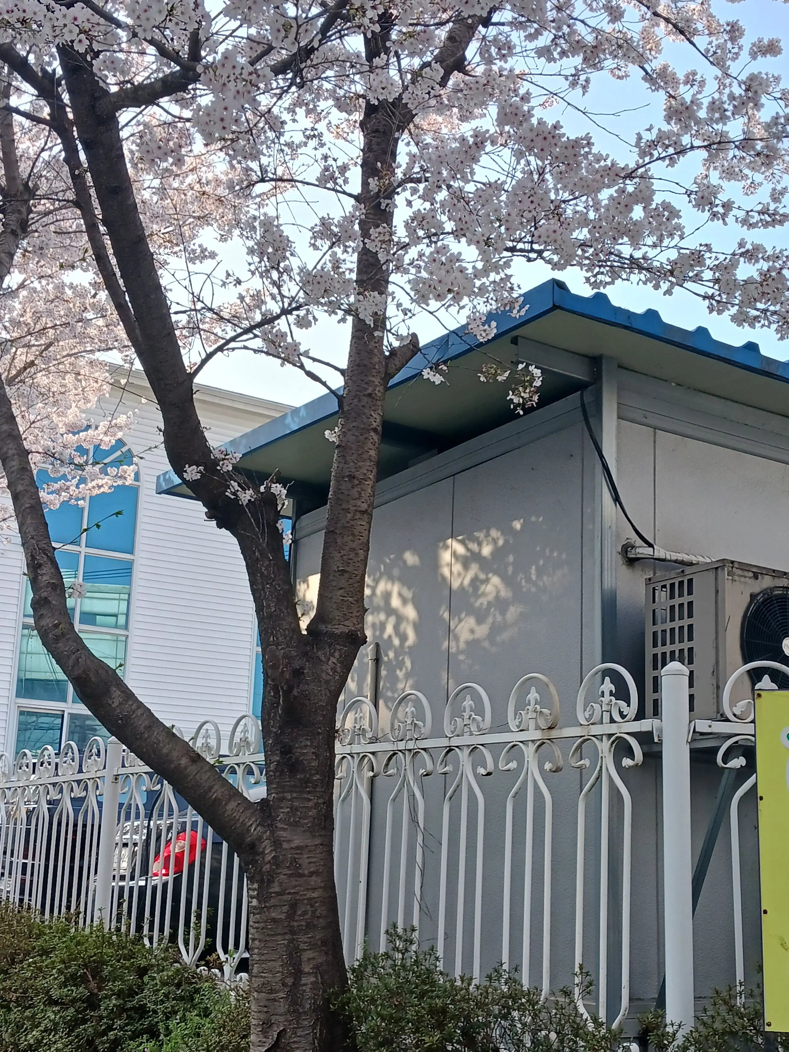 TRPG의 제가 하고 싶어성 ㅎ 암튼 생존신고