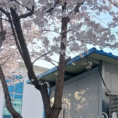 Profile image of 용과 드래곤 쿠키