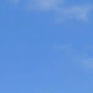 Profile image of 남연호