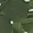 김가준