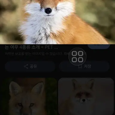 Profile image of 여우