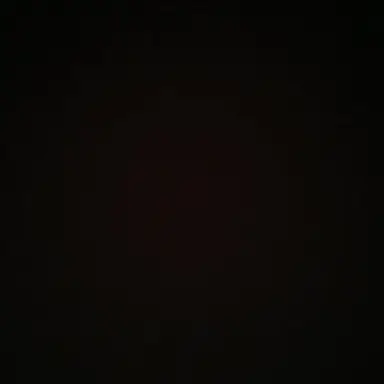 Profile image of 조우안신