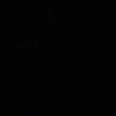 Profile image of 좆같은 새끼