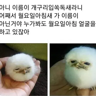Profile image of 여우