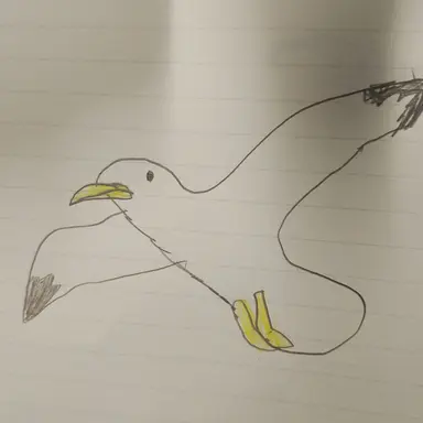 Profile image of Seagull