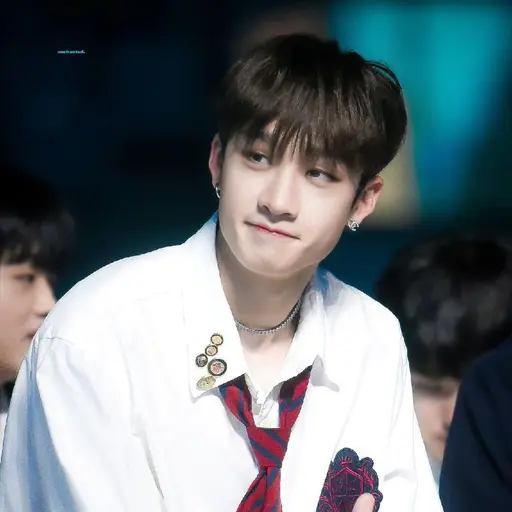 FetidCrown9489의 방찬