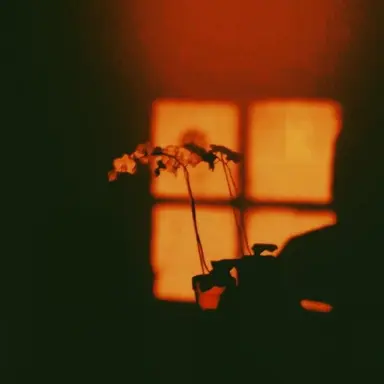 Profile image of 박 덕개