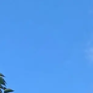 Profile image of 탄지로