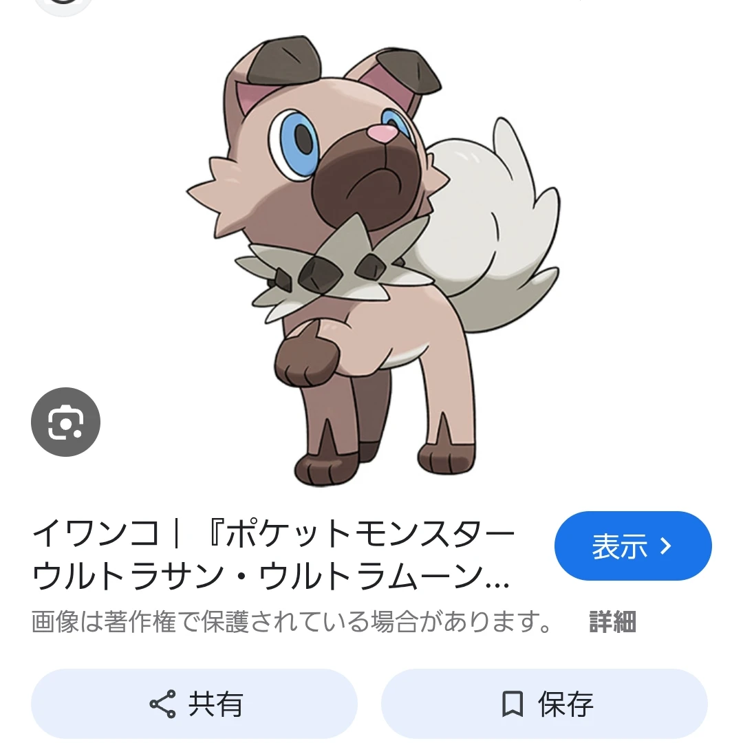 イワンコ