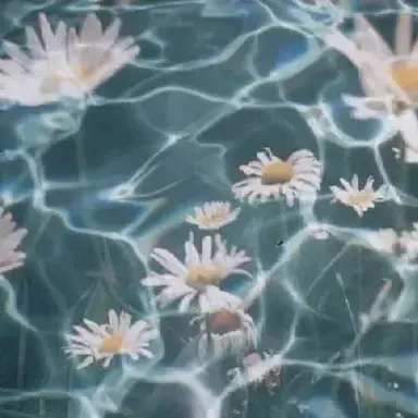 Profile image of Merman Breeding Grounds