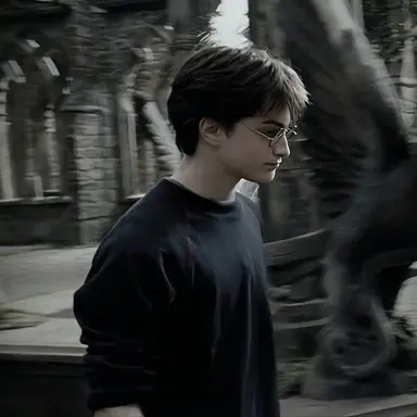 Profile image of Harry Potter