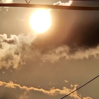 Profile image of 이도-리오