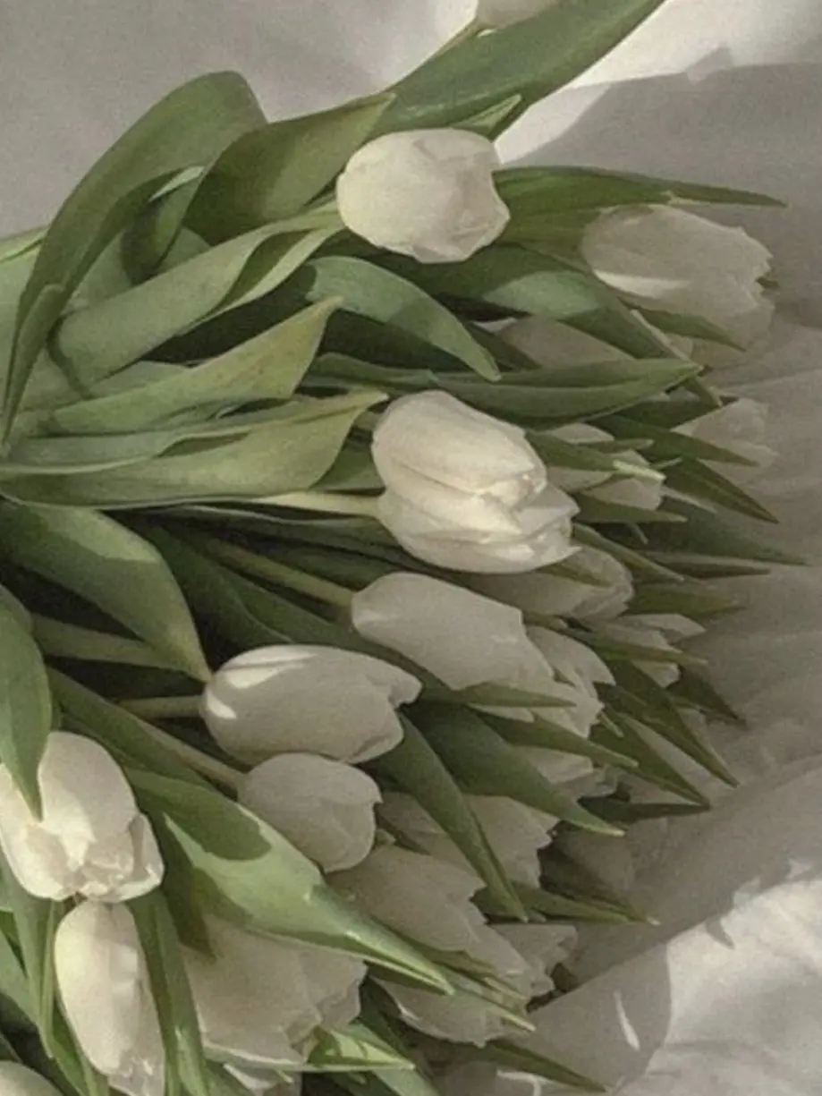 Voiced1의 이런 ㅁㅊ소설이 존재할까요?~