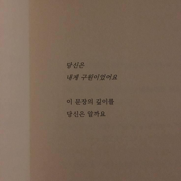 백일몽과도 같은 너에게 대표 이미지