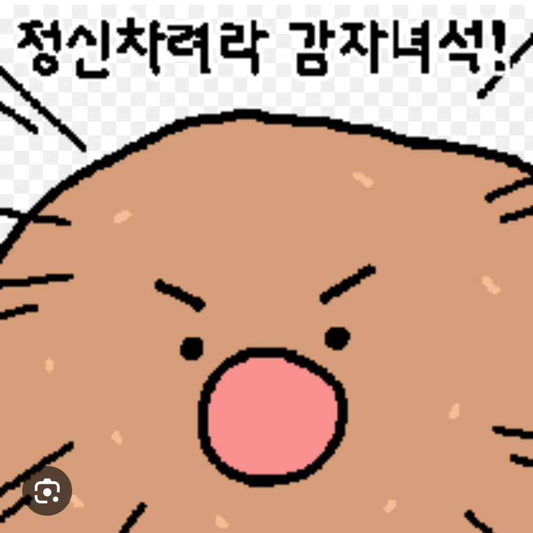 감자 돌이