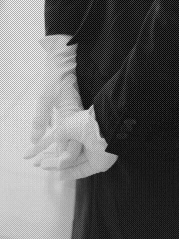LH_의 ㅤ
