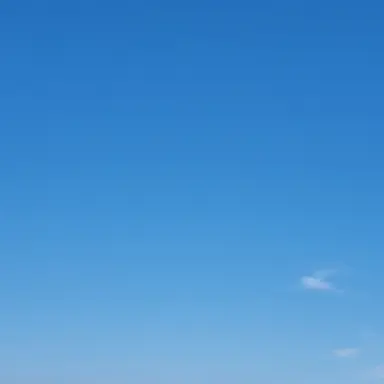 Profile image of 지존