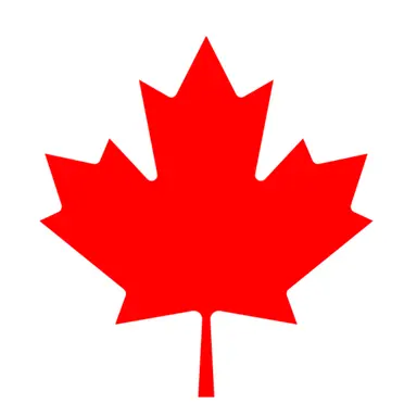 Profile image of マシュー