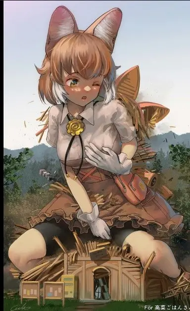 Profile image of ドール