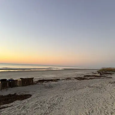 Profile image of Truth or dare