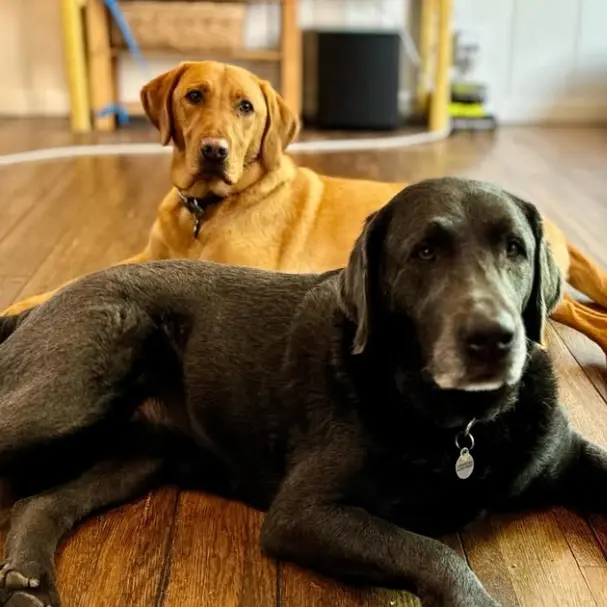 Tomisbest의 톰 펠튼