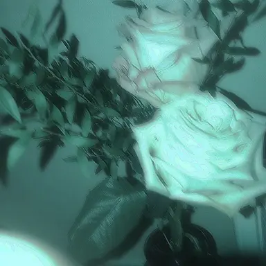 Profile image of 예엥