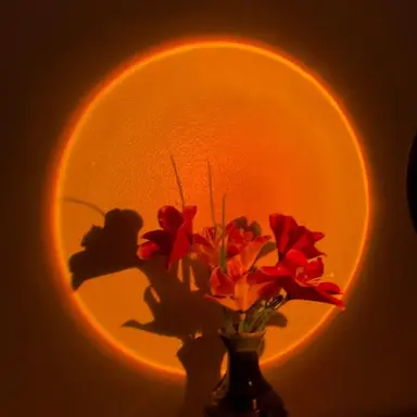 Profile image of 코마