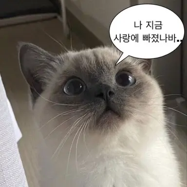 Profile image of 잭