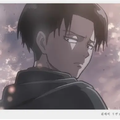 Fluffy4227의 Levi Ackerman