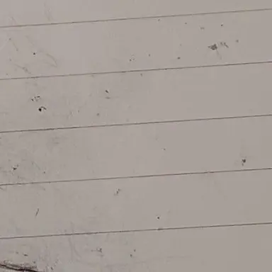 Profile image of 카를로트 페르디아