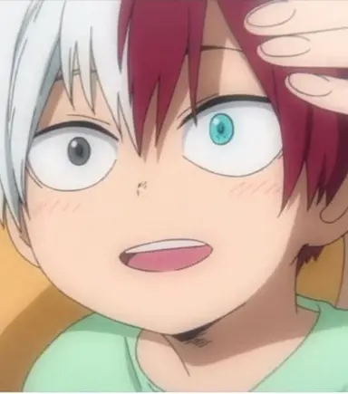 Profile image of Shoto Todoroki