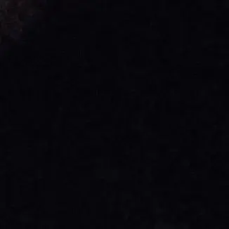 Profile image of 강여우