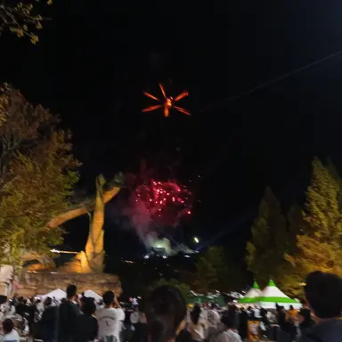 Profile image of 늑대