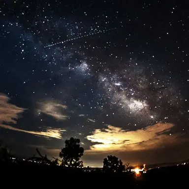 Profile image of 공룡