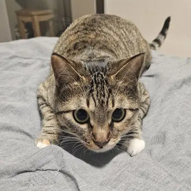 Profile image of Yeoreum