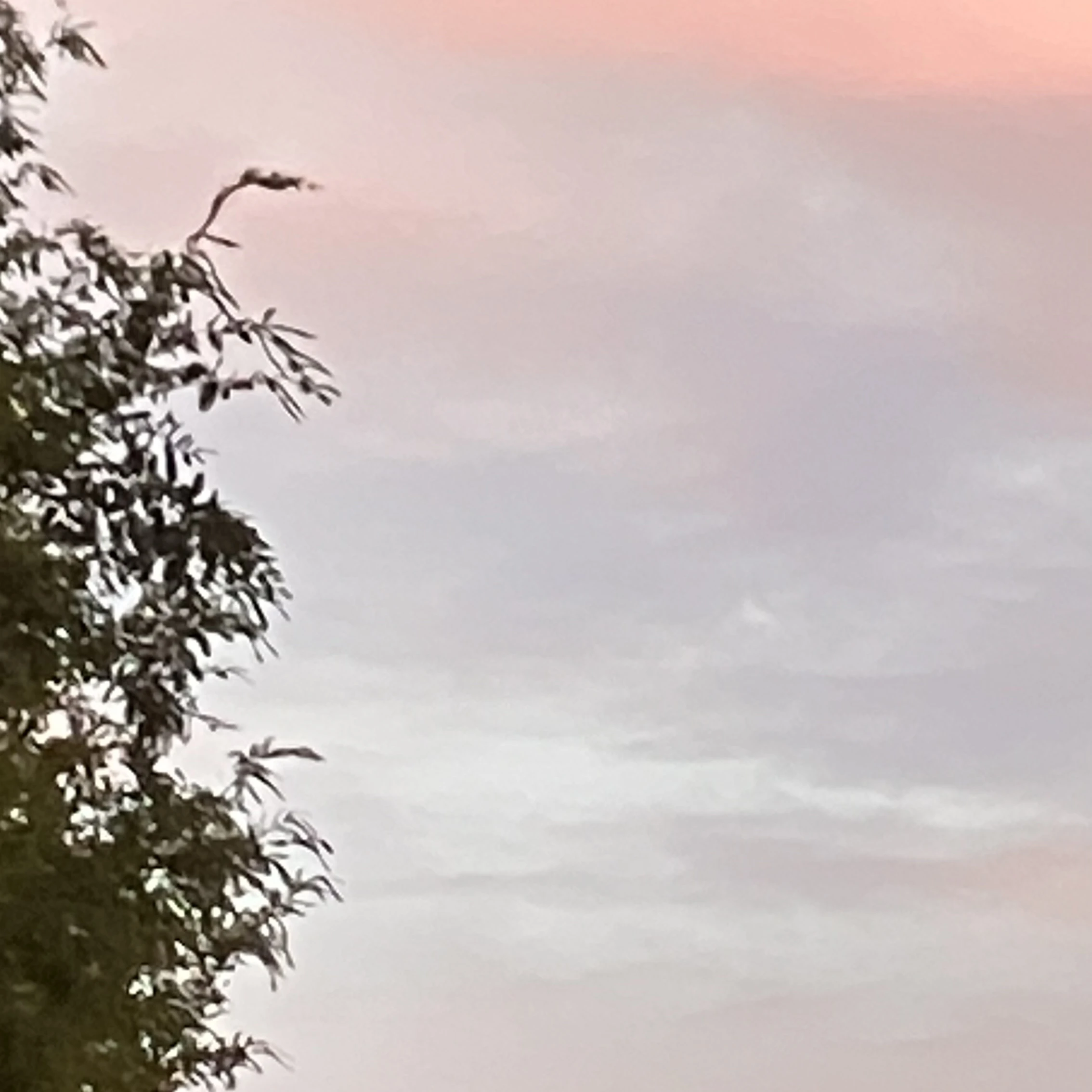장원석