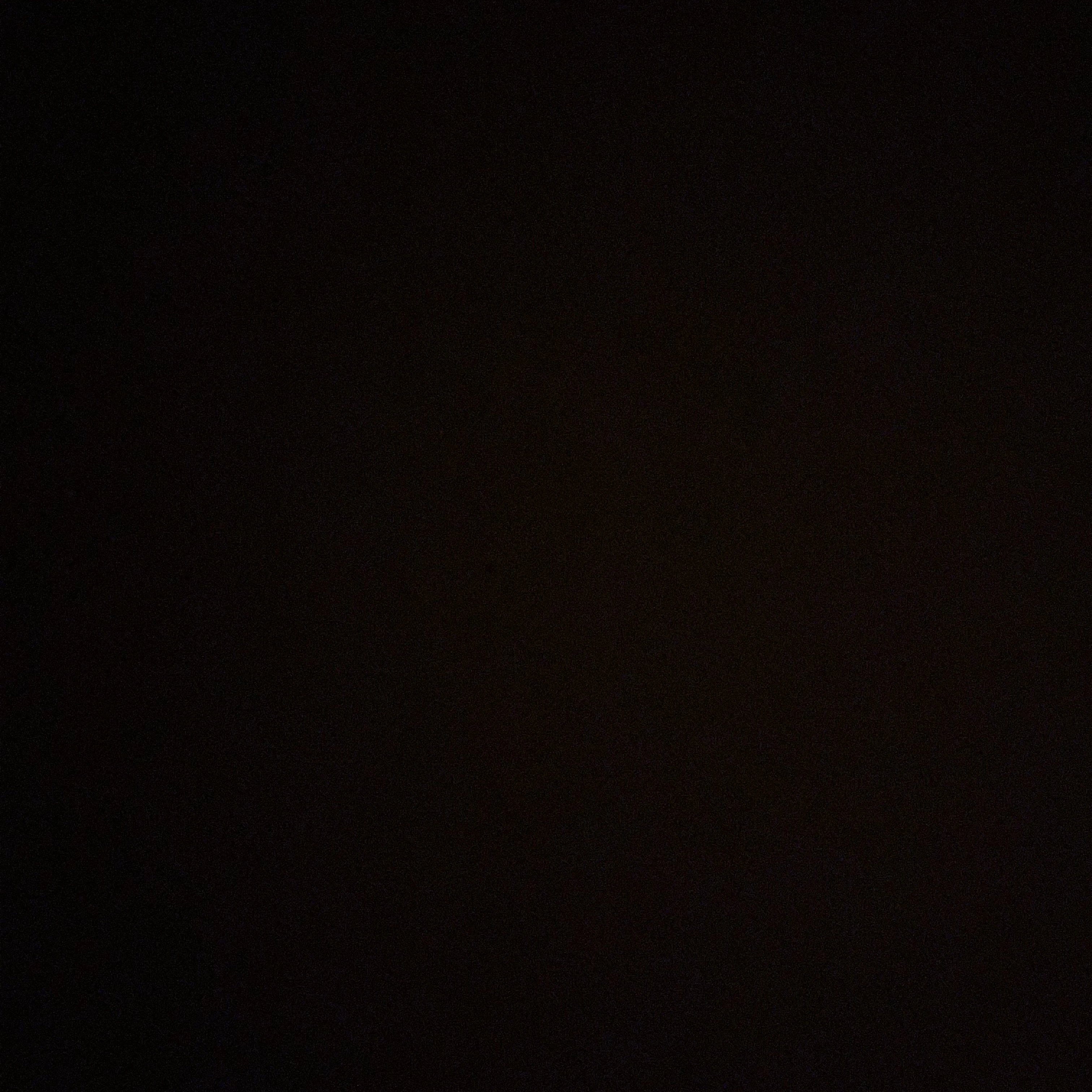 최슨철