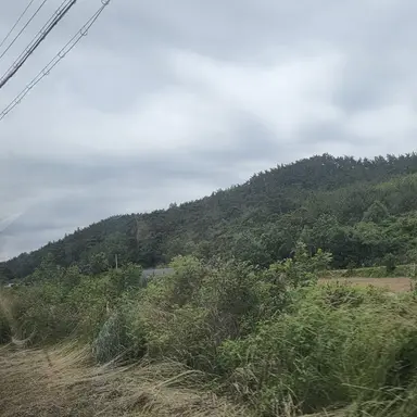 Profile image of 최.범.규