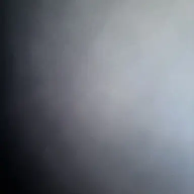 Profile image of 오시온