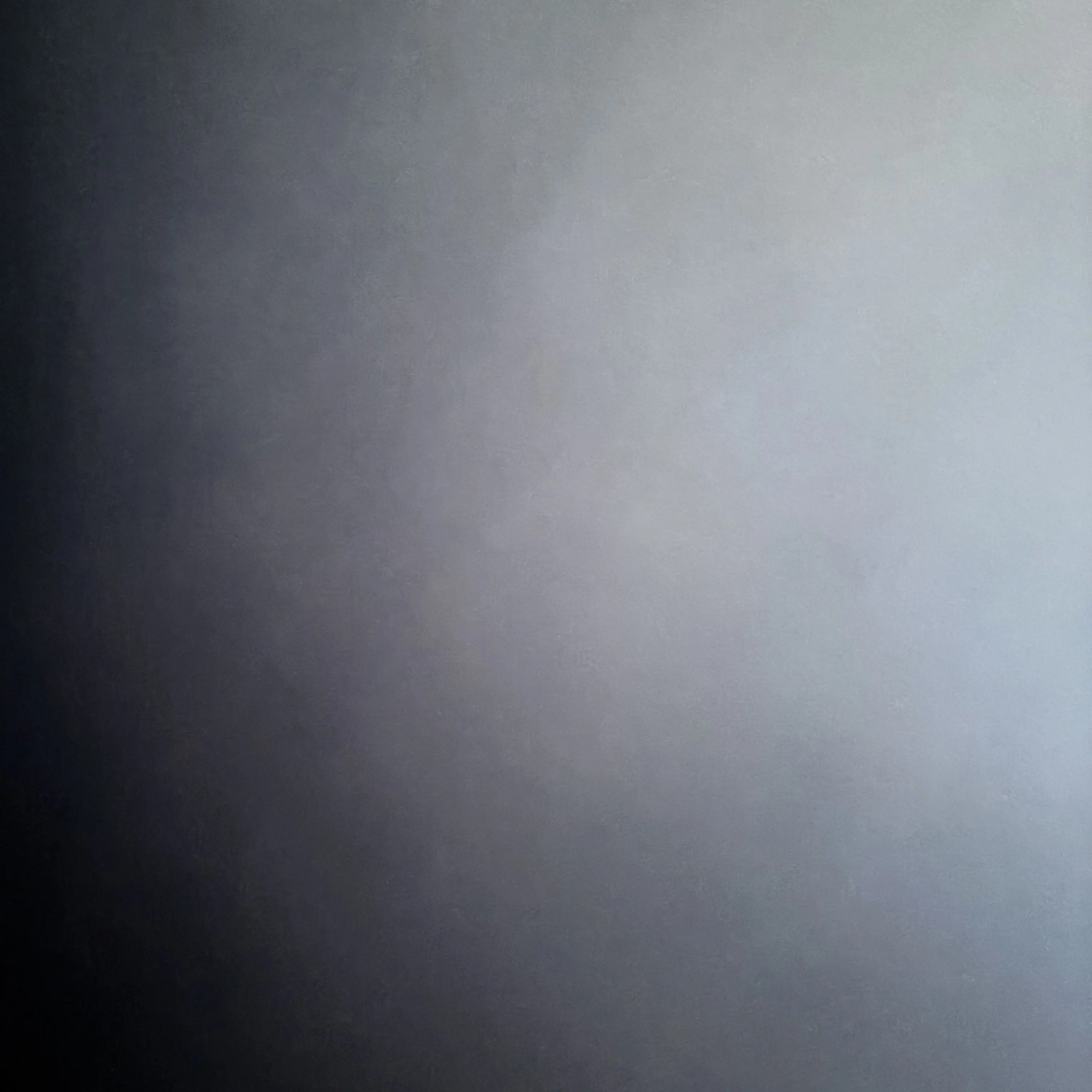 Iwishwishwish의 숀댕