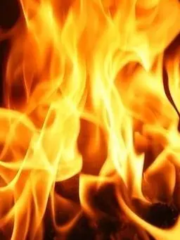 sss0221의 열혈사제2