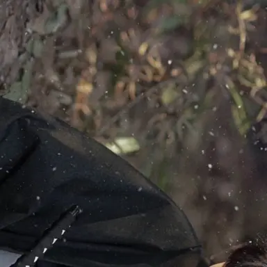 Profile image of ジュンソ