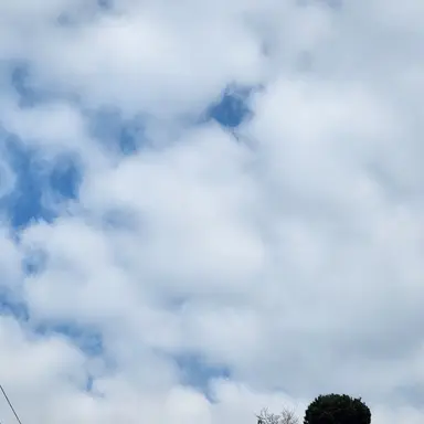 Profile image of 레이븐