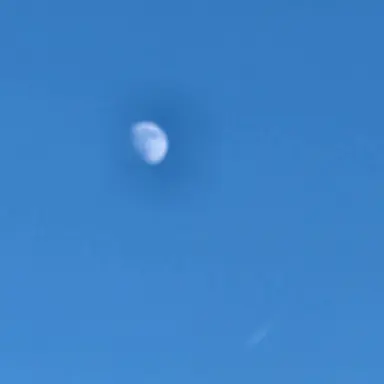 Profile image of 에러