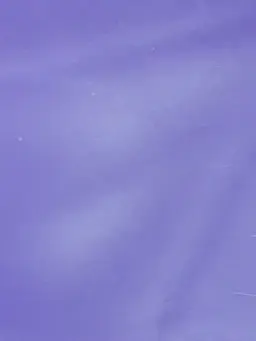 Profile image of 제스터