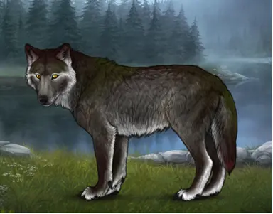 Profile image of Hugo