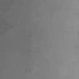 Profile image of 안지유