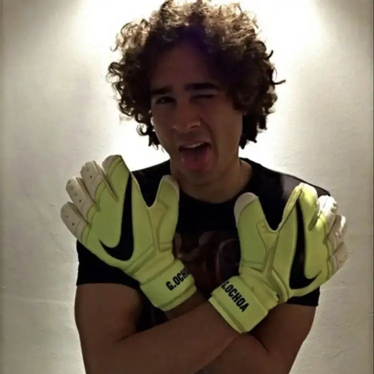 293938282828의 Ochoa