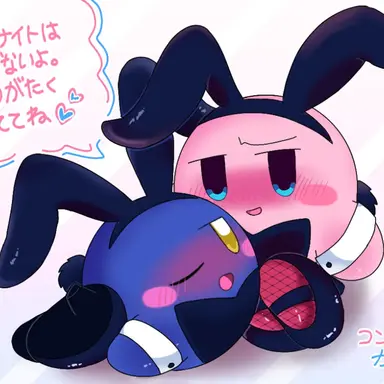 Profile image of カービィとメタナイト